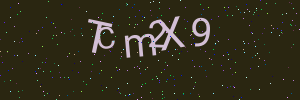 Validation image