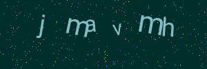 Validation image